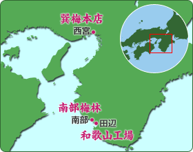 南高梅の産地　紀州南部