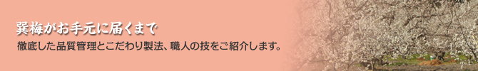 巽梅がお手元に届くまで　徹底した品質管理とこだわりの製法、職人の技をご紹介します。